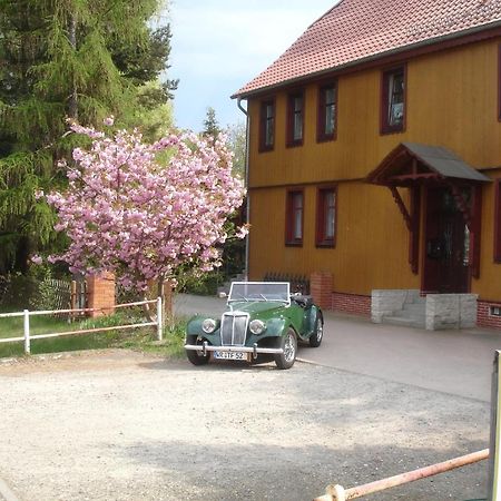 Harzer Ferienpension Timmenrode Kültér fotó